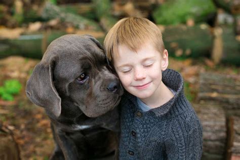 Dogs Have A Calming Effect On Kids, A New Study Finds - DodoWell - The Dodo