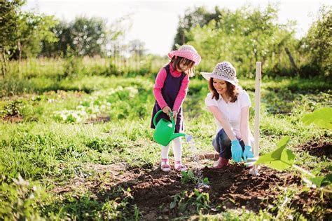 7 Healthy, Fun Summer Activities to Do With Your Kids - ThinkHealth