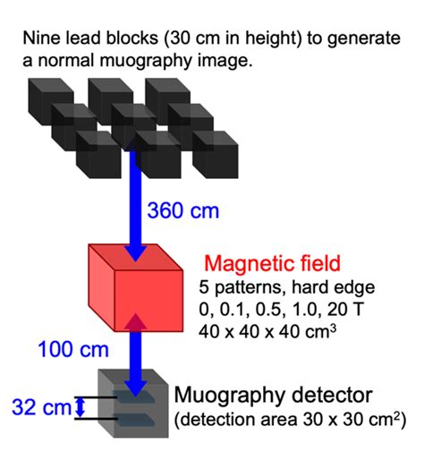 Simulation setup and conditions for magnetic field imaging. | Download Scientific Diagram