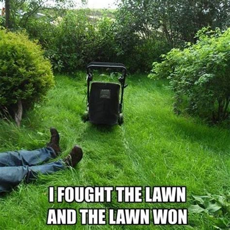 Don't let this happen to you! Call us and set up your monthly lawn ...