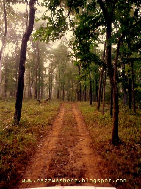 Achanakmar Wildlife Sanctuary ,Bilaspur, Chhattisgarh - India Travel ...