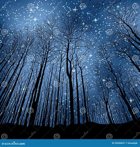 Night Forest Royalty Free Stock Photography - Image: 35496057