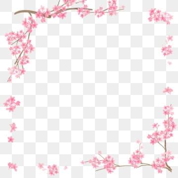 Cherry Blossom Border PNG Transparent Images Free Download | Vector Files | Pngtree