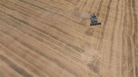 Premium Photo | Harvesting barley harvesters fields of wheat and barley the work of agricultural ...