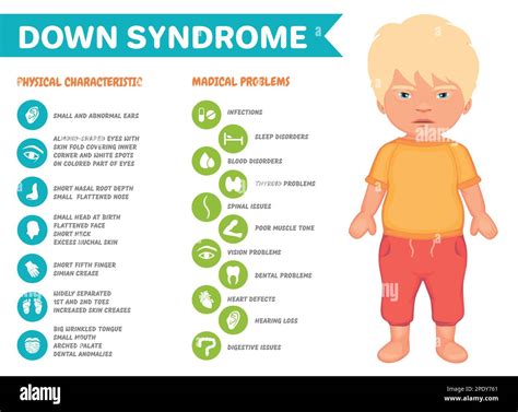 Symptoms of down syndrome vector infographic poster Stock Vector Image & Art - Alamy