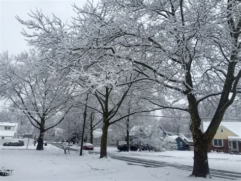 Winter Storm Brings Down Power Lines In Milton | Alpharetta, GA Patch