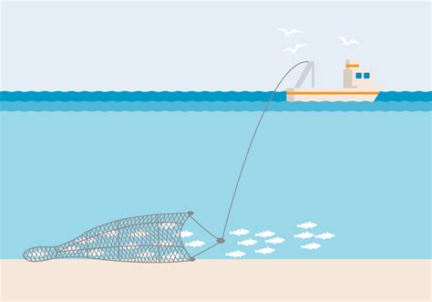 Wash Brown Shrimp | Marine Stewardship Council