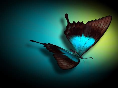 🔥 [40+] Neon Butterfly Wallpapers | WallpaperSafari