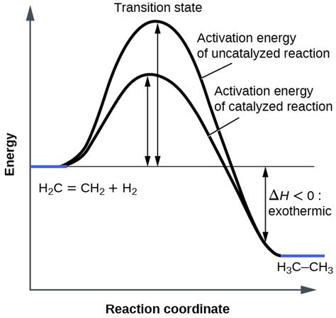 Catalysis | General Chemistry