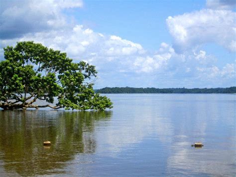 Essequibo River | British guiana, Favorite places, River