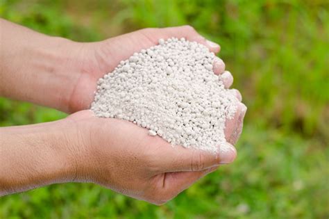 Understanding lawn fertilisers | Scotts Australia