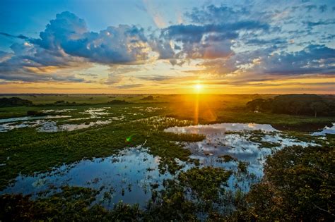 Sunrise,In,Pantanal,,Brazil.,Pantanal,Is,The,World’s,Largest,Wetland ...