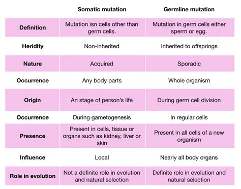 What is Somatic and Germline Mutation? – Genetic Education