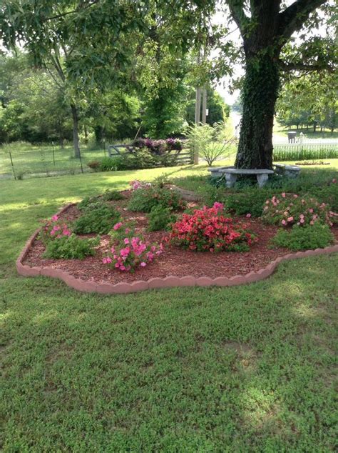 45 Shade Garden Ideas Under Trees - SILAHSILAH.COM | Landscaping around ...