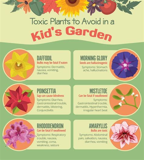 Toxic plants to avoid for kids/pets | Gardening for kids, Child ...