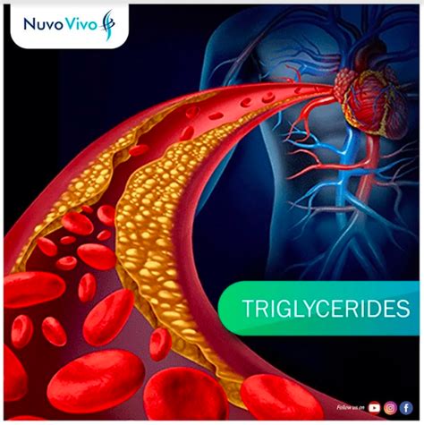 Triglycerides - NuvoVivo: Reverse Your Age & Lifestyle Diseases