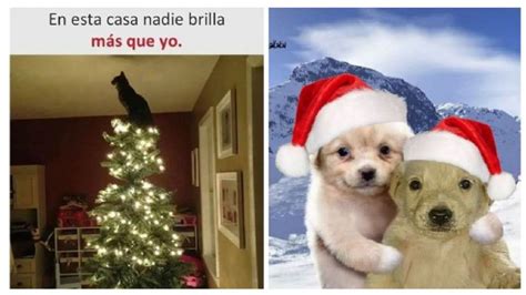 5 memes de navidad chistosos para enviar por WhatsApp a tu familia ...