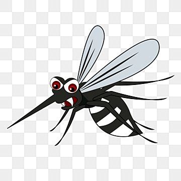 Mosquito Cartoons PNG Transparent Images Free Download | Vector Files | Pngtree