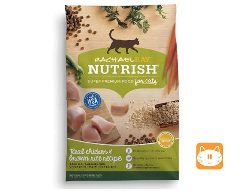 Dry cat food brands | Life Of Kitten