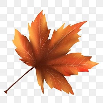 Maple Leaves Falling PNG Image, Maple Leaves Falling, Maple, Autumn ...