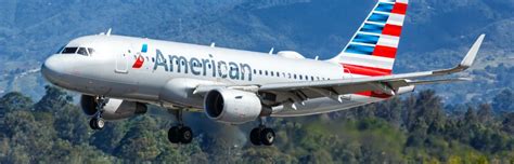 American Airlines Pet Policy: Everything You Need to Know Before Flying ...