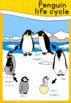 Penguin life cycle poster by Little Blue Orange | TpT