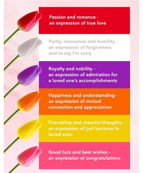 Tulip 🌷 color meanings | Tulip colors, Flower meanings, Tulips meaning