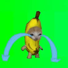 Banana Crying Cat Sticker - Banana crying cat - Discover & Share GIFs