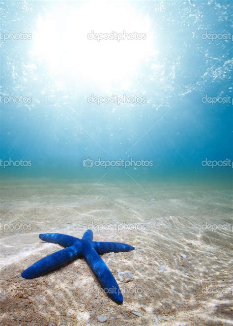 Starfish deep underwater — Stock Photo © serrnovik #13598355