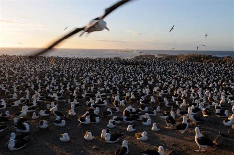 Quest for Survival: Photos of Incredible Animal Migrations | Live Science