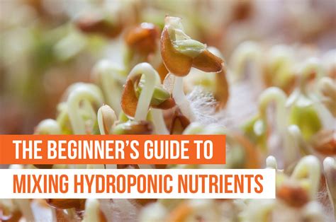 Hydroponic Nutrient Solution Recipe Pdf | Deporecipe.co