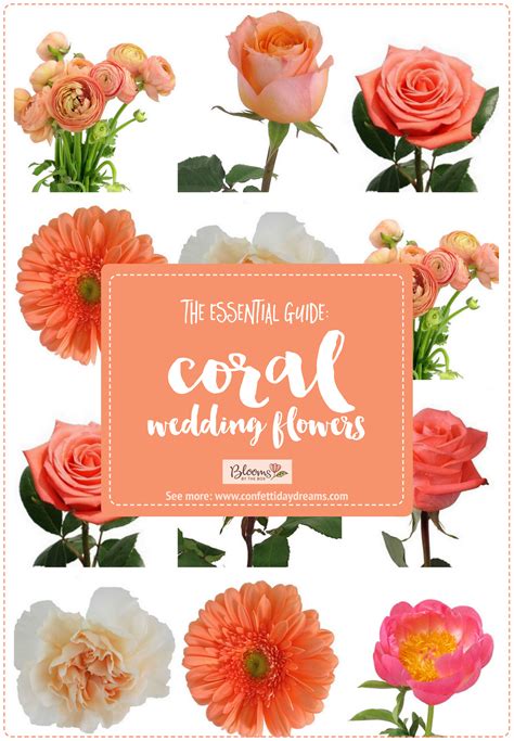 The Essential Coral Wedding Flowers Guide: Types of Peach Flowers ...