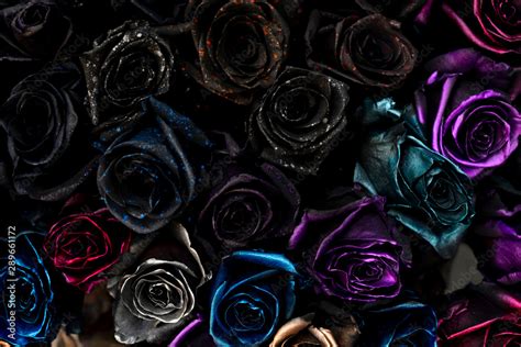 Gothic Black Roses Wallpaper