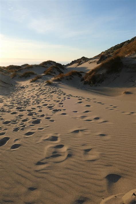 Sand, hill, dunes, grass, traces, HD phone wallpaper | Peakpx