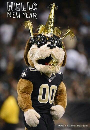 Gumbo the Saints dog mascot | New orleans saints, Mascot, Saints