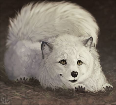 Arctic Fox by Velkss on DeviantArt