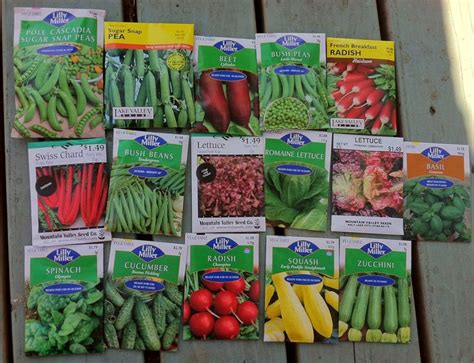 Southern Hemisphere When to Plant Charts | When to plant seeds, Plants, Veggie garden
