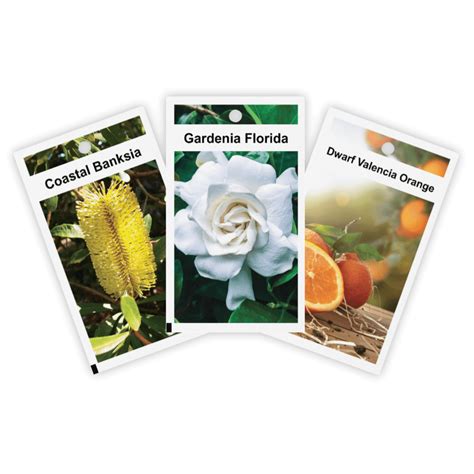 #1 in Plant Label Printing | Best Nursery Plant Labels & Tags