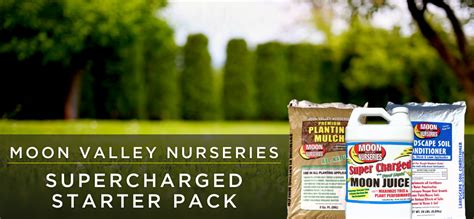 Moon Valley Nurseries Guide: Supercharged Starter Pack