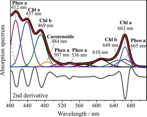 Chlorophyll Absorption Spectrum