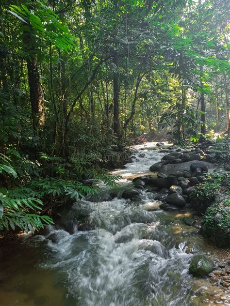 River Stream at Sungai Congkak, Selangor, Malaysia. Stock Image - Image of landscape, current ...