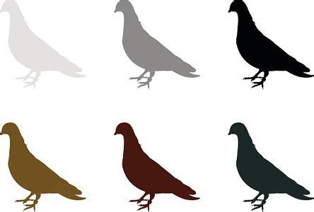 Pigeon Silhouette Stock Vector | Royalty-Free | FreeImages