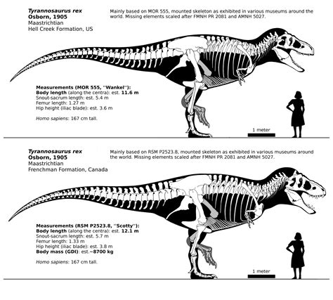 Henry on Twitter: "#Tyrannosaurus rex needs no introduction. It was ...