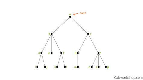 Tree Graph In Graph Theory