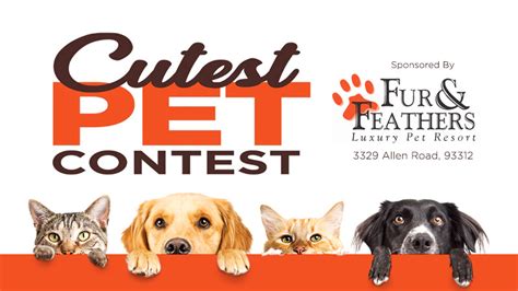 2019 Cutest Pet Contest