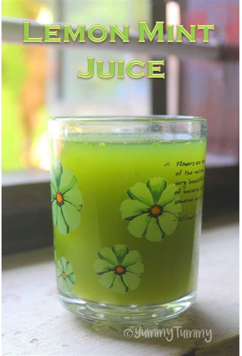 Lemon Mint Juice Recipe - Pudina Juice Recipe - Easy Juice Recipes