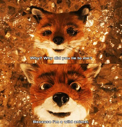 Fantastic Mr. Fox (Wes Anderson, 2009) | Fantastic mr fox quotes, Fantastic mr fox, Disney ...