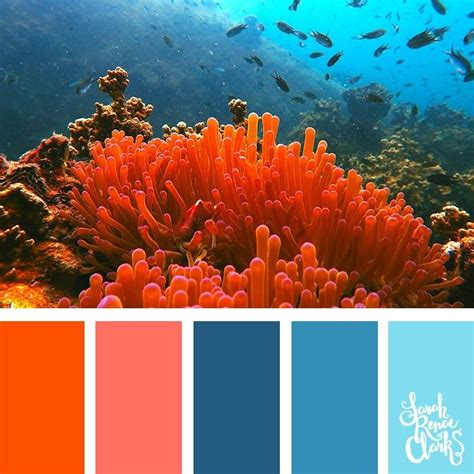 Pin by Cactus Gems on Coloring Pictures | Coral color schemes, Coral colour palette, Beach color ...