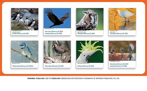 Audubon Birds Page-A-Day Calendar 2022: Workman Calendars ...