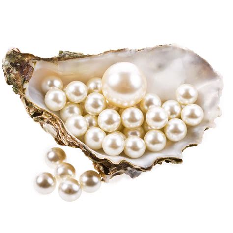 Pearl PNG Download Free Transparent HQ PNG Download | FreePNGImg